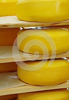 Cheese Wheels