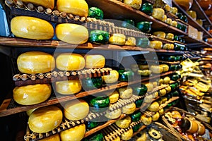 Cheese wheels green and yellow colors on wooden shelves at cheesemaking shop.