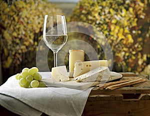 Cheese and Wine