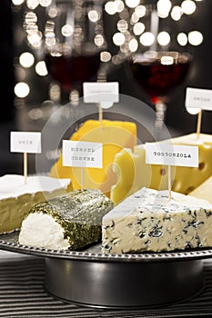 Cheese and Wine Tasting Party