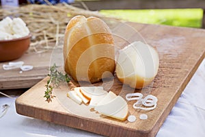 Cheese on wooden board.