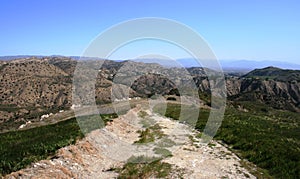 Cheeseboro Ridge Trail Panorama