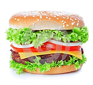 Cheeseburger close-up isolated on a white background