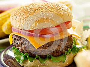 Cheeseburger closeup photo