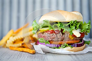 Cheeseburger and French Fries