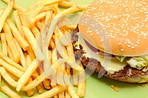 Cheeseburger with fries