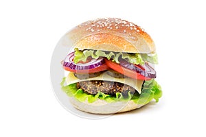 Cheeseburger isolated on a white background. Hamburger with cheese. Burger isolated