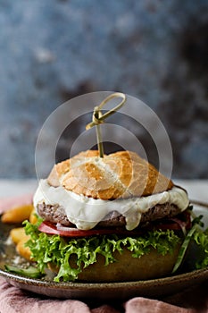 Cheeseburger on plate with french fries