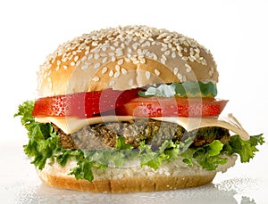Cheeseburger on white photo