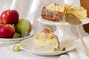 Cheesecake or casserole from cottage cheese with apples, served with apple sauce compote. Rustic style.