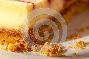 Cheesecake Closeup