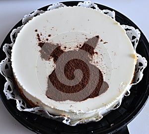 Cheesecake with cocoa decoration