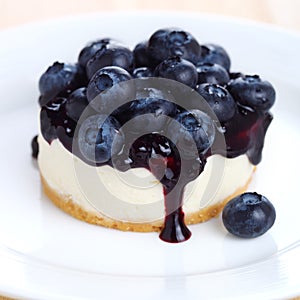 Cheesecake with fresh blueberries