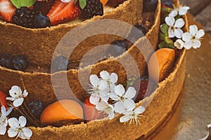 Cheesecake with fruits and berries