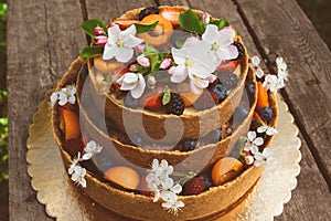 Cheesecake with fruits and berries