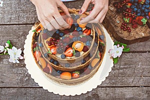 Cheesecake with fruits and berries