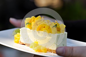 Mango cheese cake , mango cheese pie