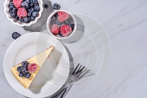 Cheesecake portion slice on plate