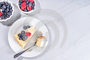 Cheesecake portion slice on plate