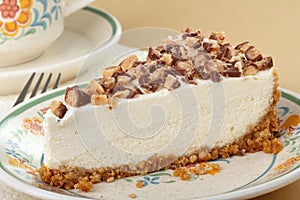 Cheesecake Slice Closeup