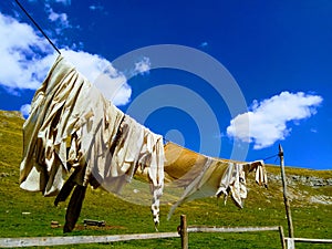 Cheesecloth hanging to dry