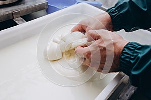 Cheesemaker with a beard cooks mozzarella and holds fresh cheese.