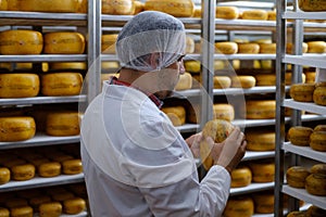 Cheesemaker checking ready product in a storage room