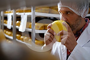 Cheesemaker checking ready product in a storage room