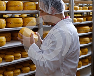 Cheesemaker checking ready product in a storage room