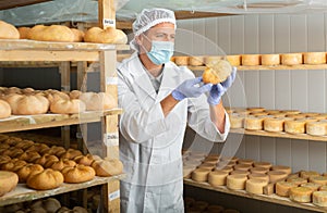 Cheesemaker in mask controlling maturing process of cheese wheels