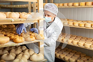 Cheesemaker in mask examining quality of cheese in ripening room