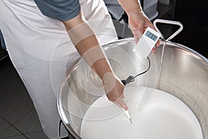 Cheesemaker measures the temperature of the milk with an electronic thermometer