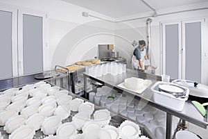 Cheesemaker pours the rennet