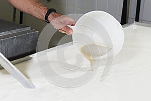 Cheesemaker pours rennet