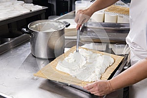 Cheesemaker puts fresh cheese on the rush for a typical process