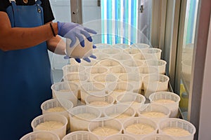 Cheesemaker turning the cheeses into the molds.