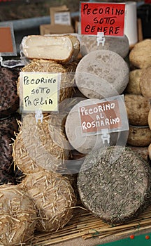 Cheeses made in Italy with the word PECORINO which means that th photo