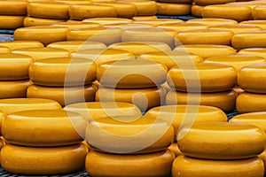 Cheeses stacked in the alkmaar market. netherlands holland