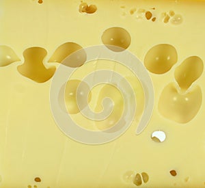Cheesetexture background
