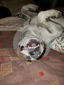 Cheesing like his dad