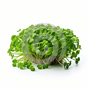 Cheesy Cress: A Bold And Ironical Crop Of Green Leaves