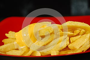 Cheesy fries