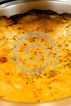 Cheesy potatoes au gratin photo