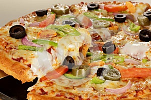 Cheesy vegetable pizza. photo