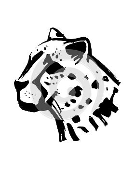 Cheeta head ink vector illustration