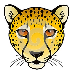 Cheetah