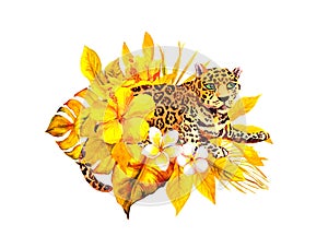 Cheetah animal, jungle exotic flowers plumeria, hibiscus , palm leaves. Zoo, wildlife watercolor