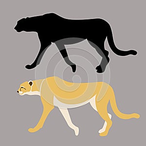 Cheetah black silhouette vector illustration flat style profile