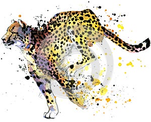 Cheetah. cheetah illustration watercolor photo