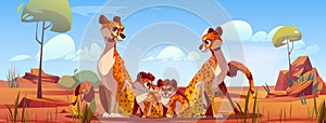 Cheetah family in Africa cartoon vector background